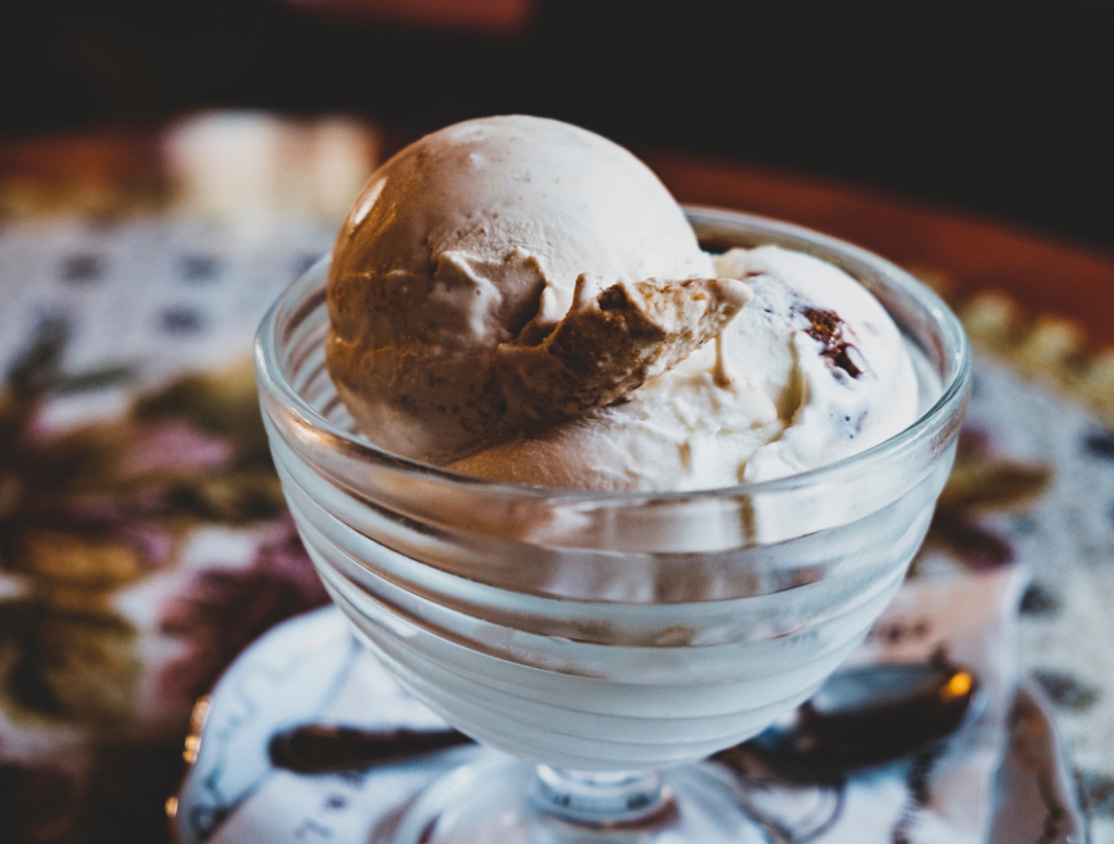Vegan Chocolate Coconut Ice Cream